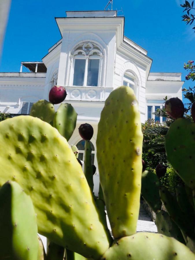 Villa Alessandro - Anacapri Anacapri  Zewnętrze zdjęcie